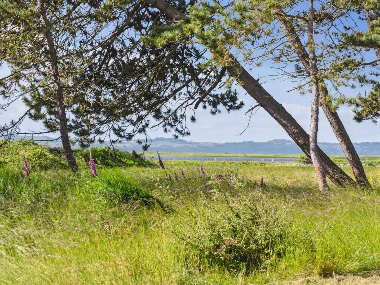 "Felis" - 575m from the sea-Outside