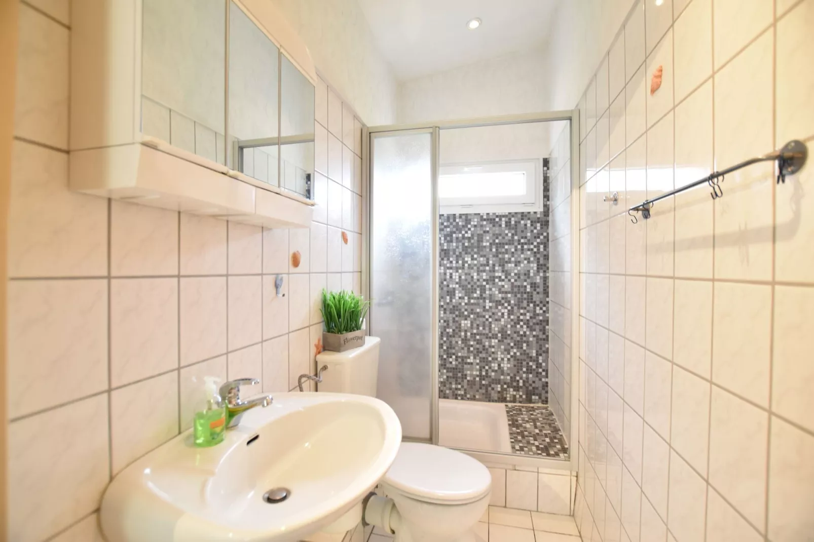 Bungalowanlage Gänseblümchen 3-5-Bathroom