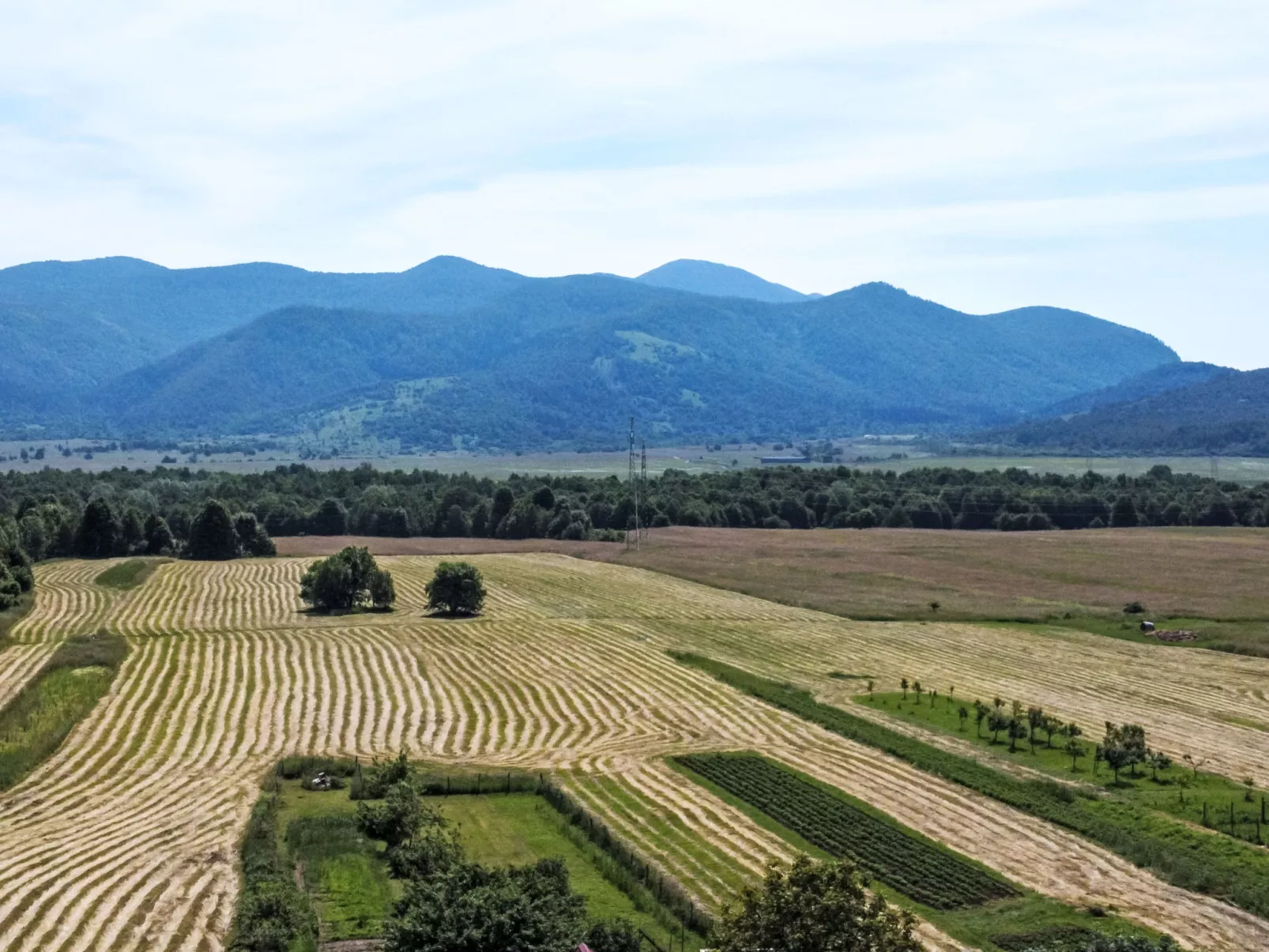 Ravno-Area