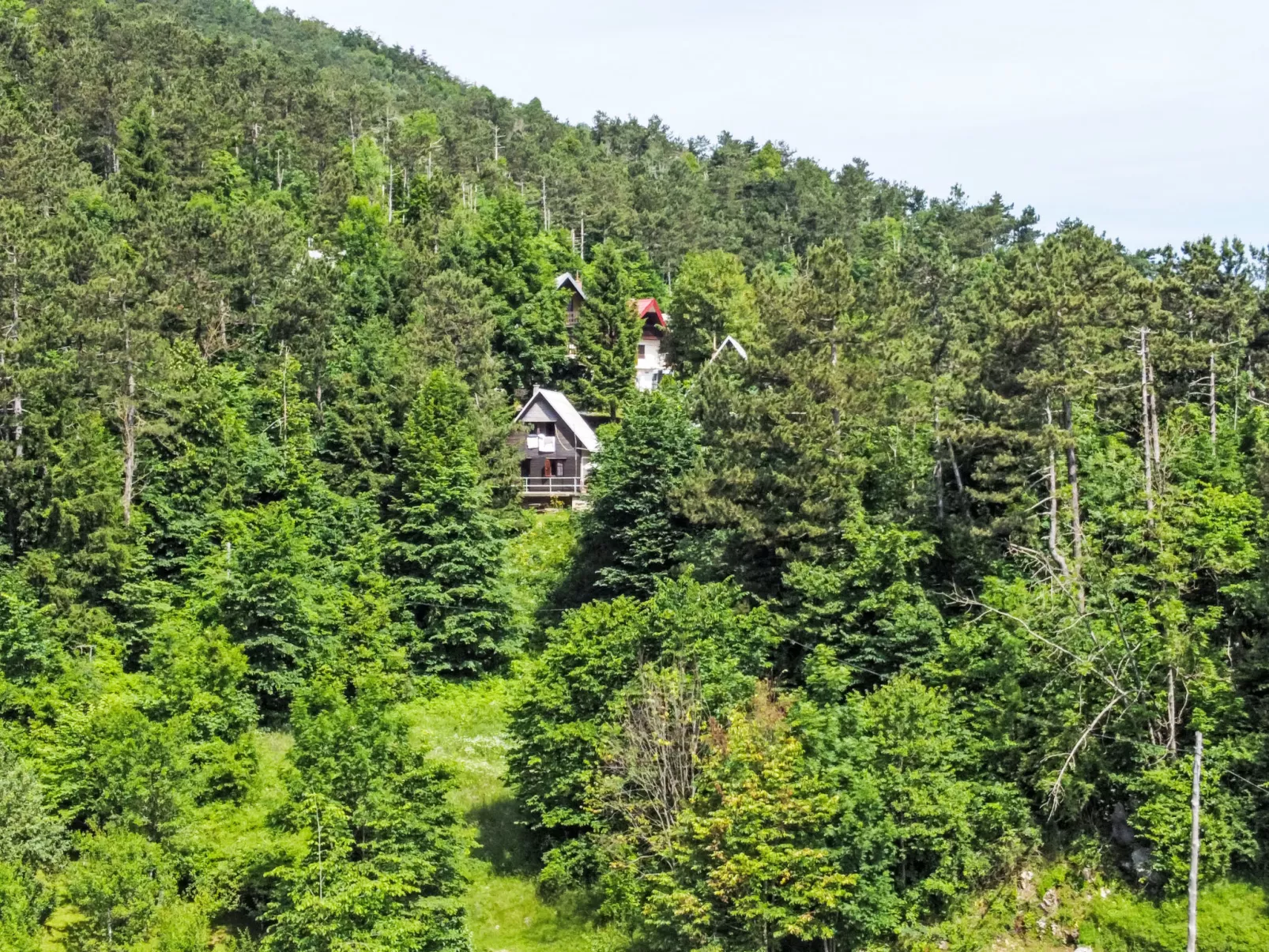 Ravno-Area