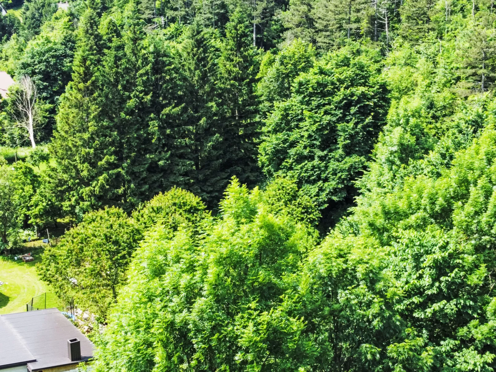 The Fox-Area