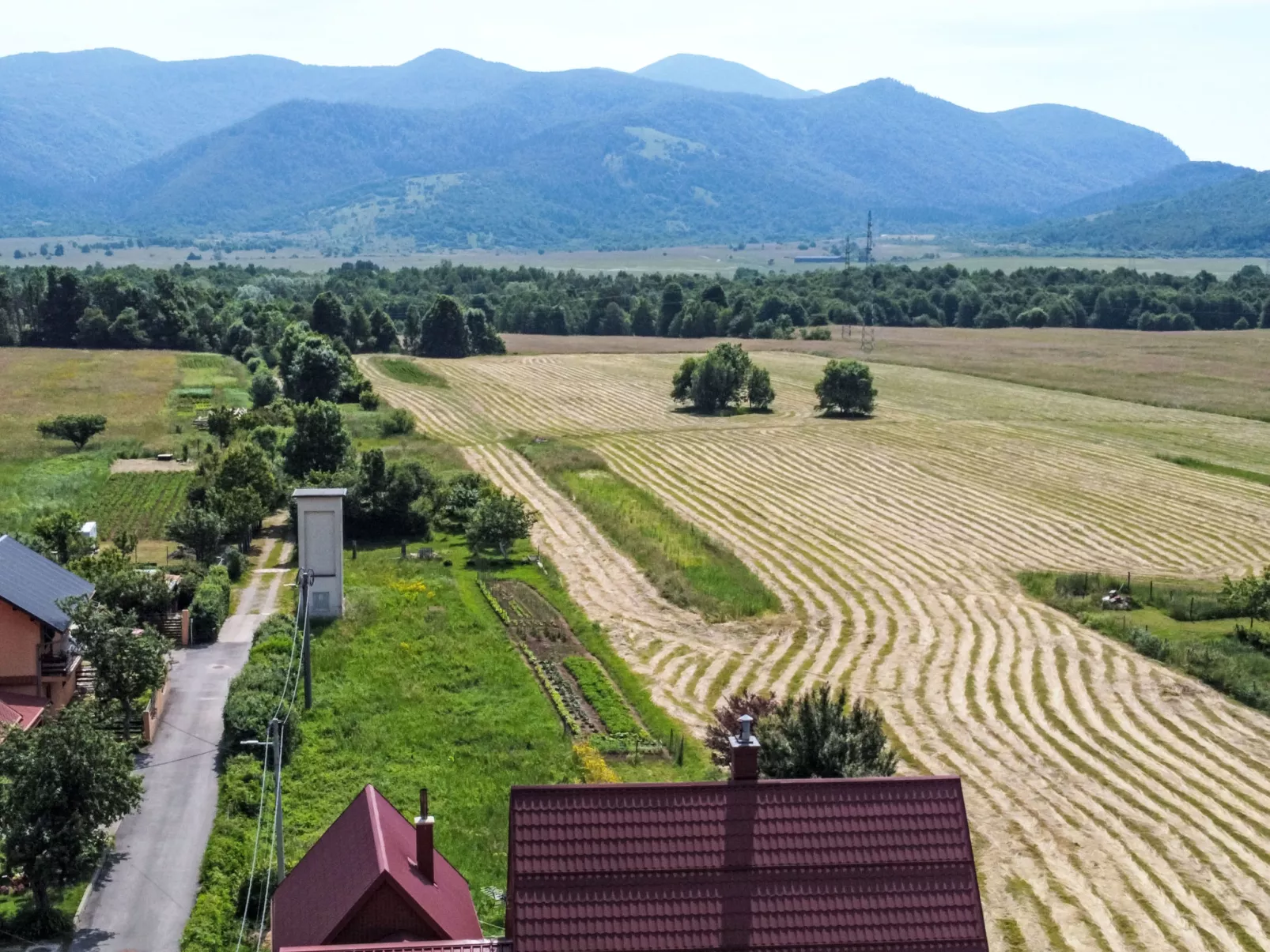 Propuh-Area