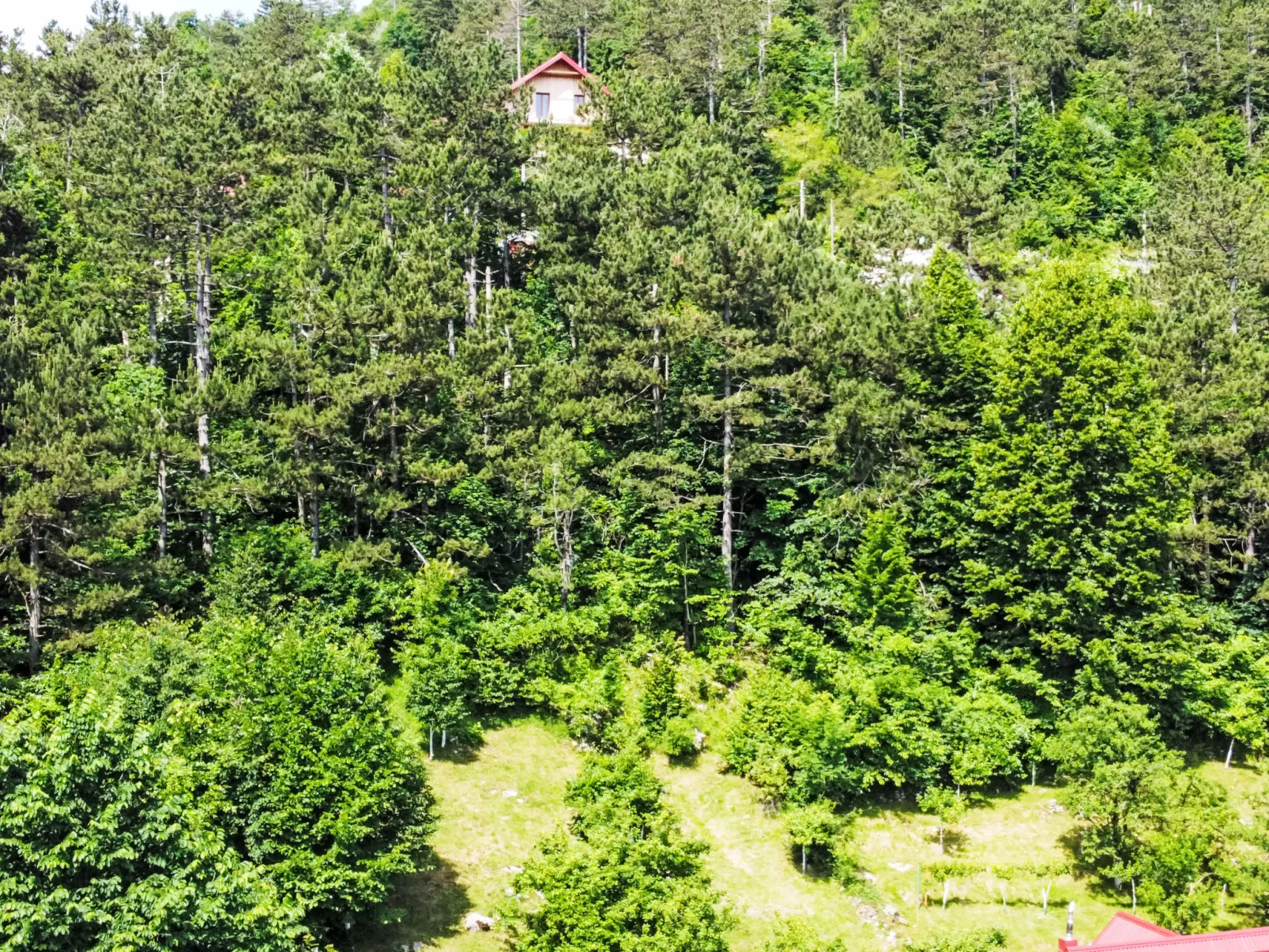 Propuh-Area