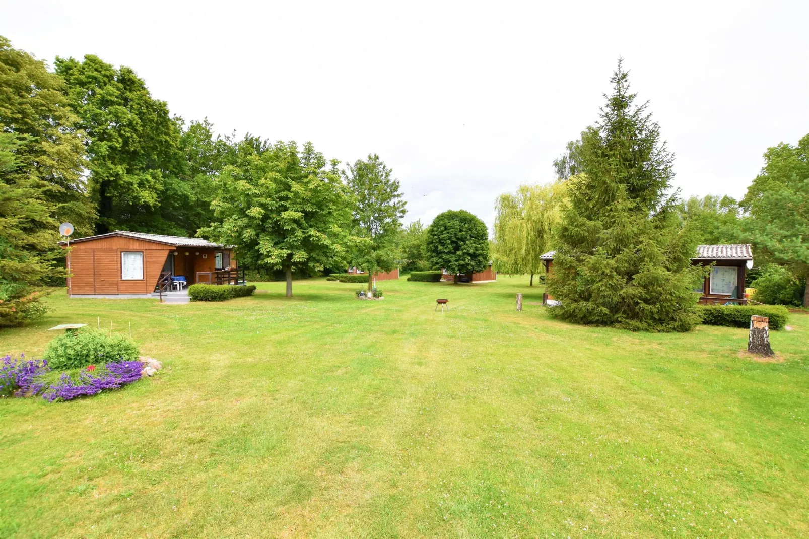 Bungalowanlage Gänseblümchen 2-Areas summer 1km