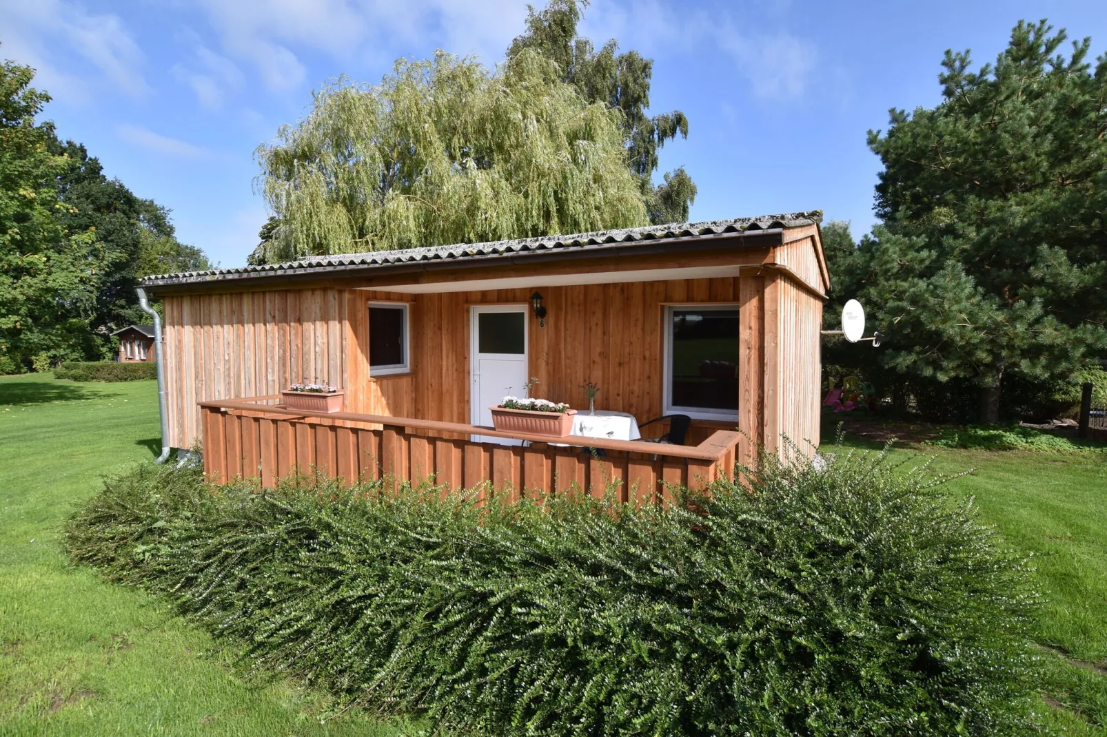 Bungalowanlage Gänseblümchen 2-Exterior summer