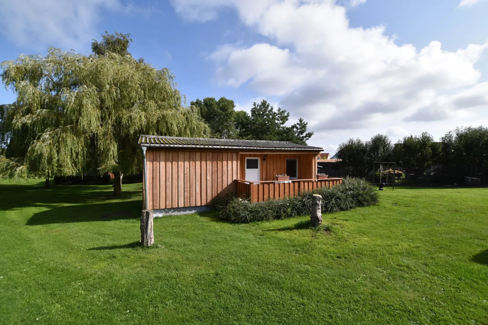Bungalowanlage Gänseblümchen 2-Exterior summer
