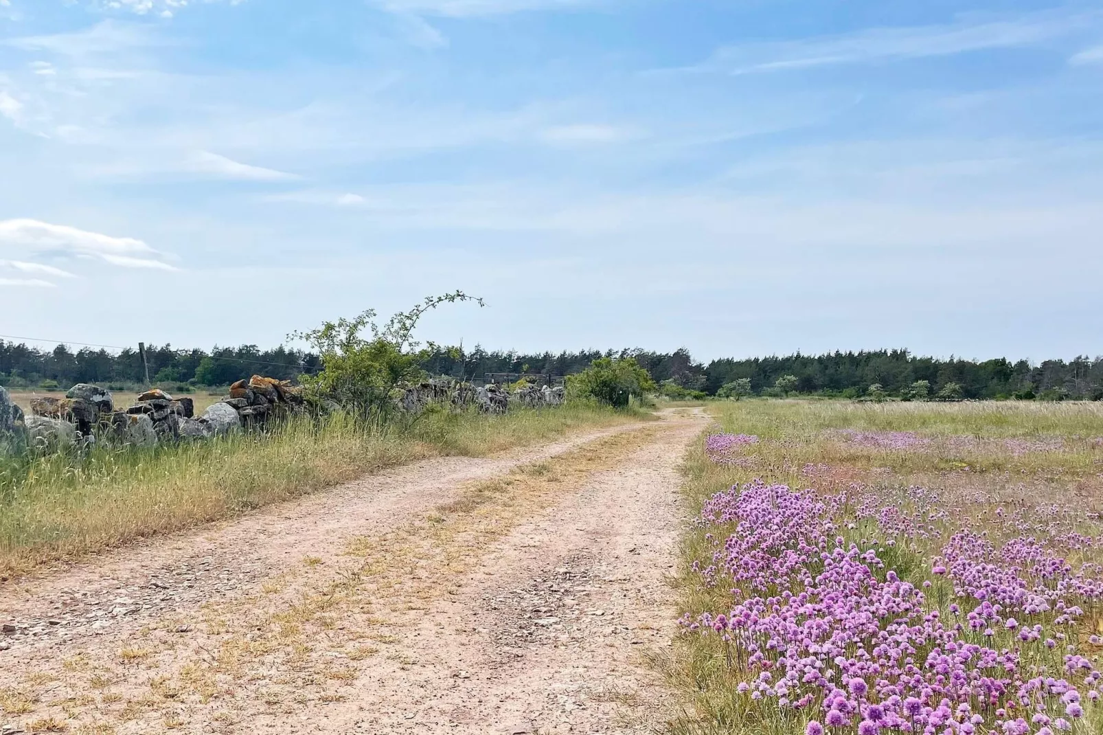4 star holiday home in LÖTTORP-By Traum-Not tagged
