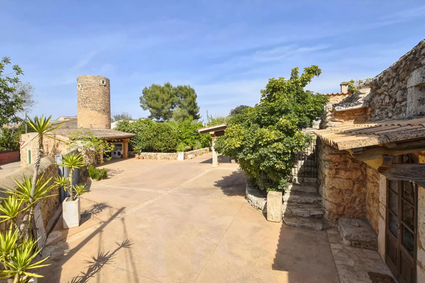 Estela-View in summer