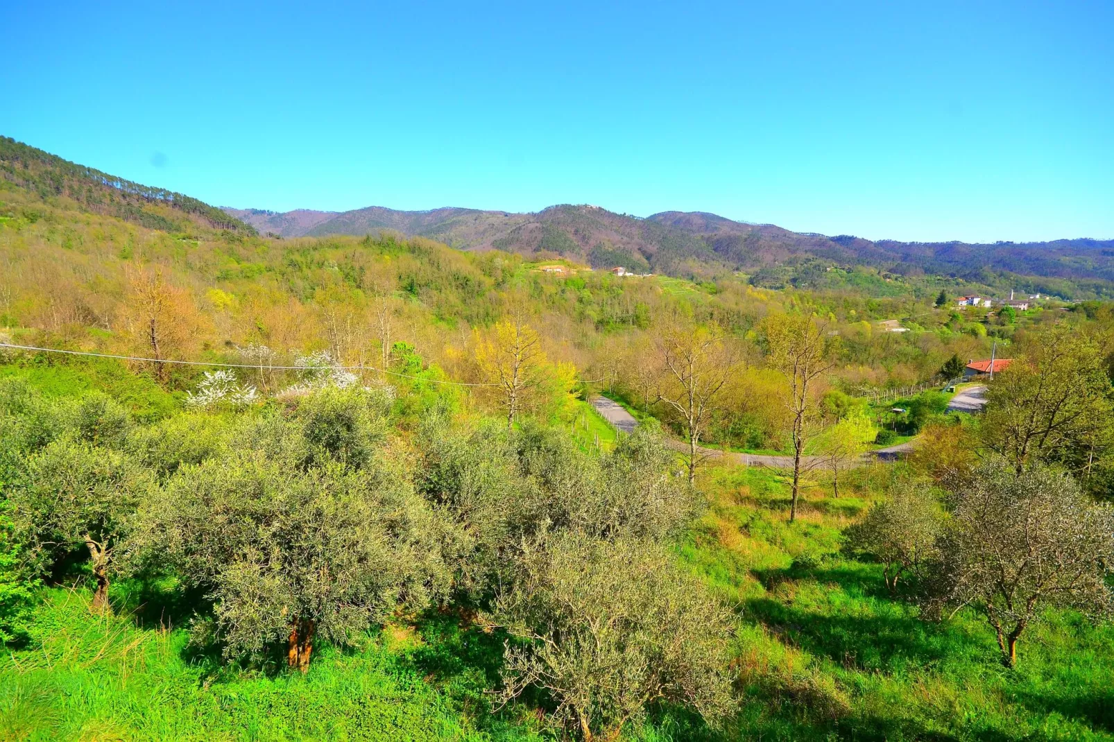 Crocetta Uno Extra-View summer