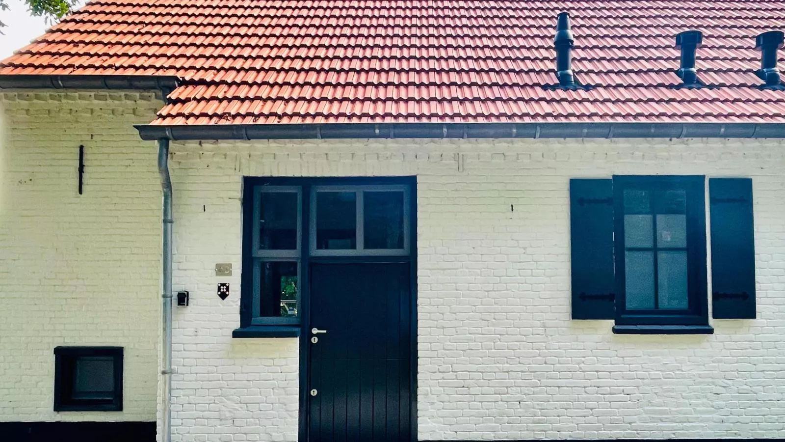 Bosbeertje 43-Exterior summer