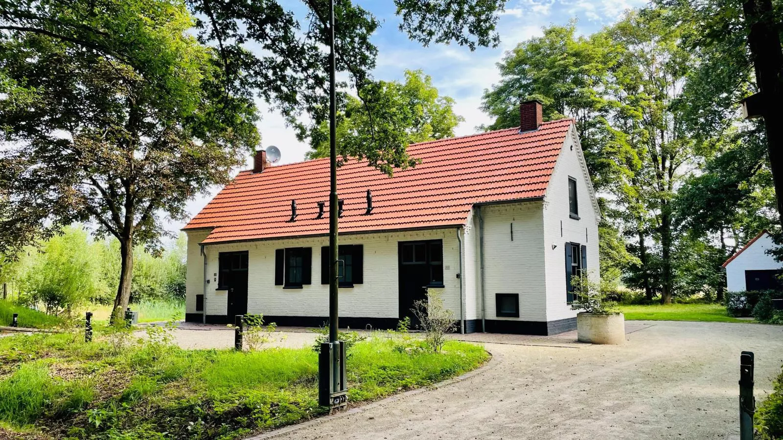 Bosbeertje 43  45-Exterior summer