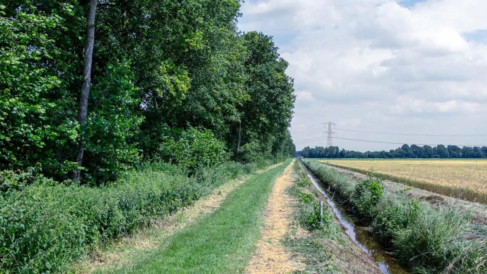 Bij de Buren-Areas summer 1km
