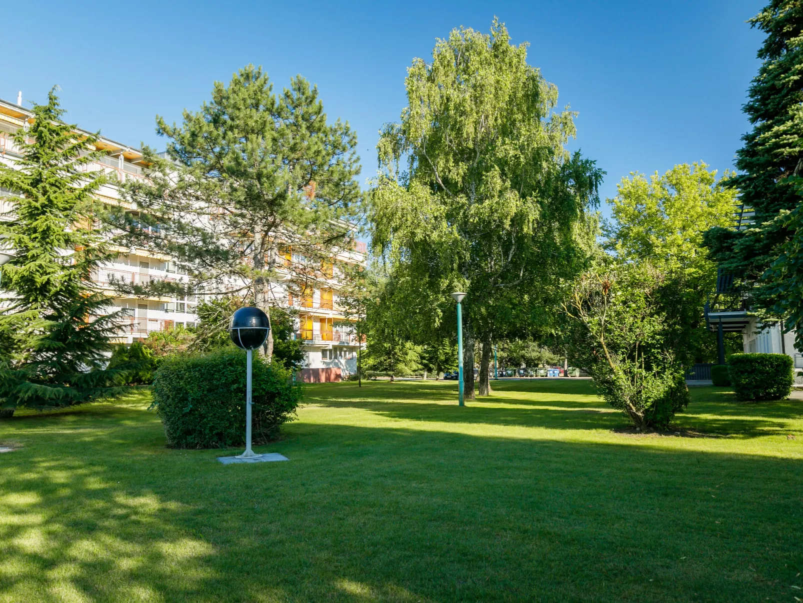 Zamia 1-Outside