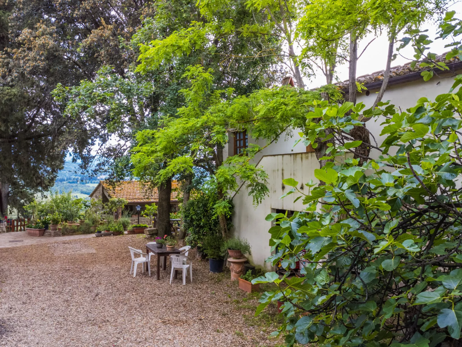 Mangiatoia-Outside