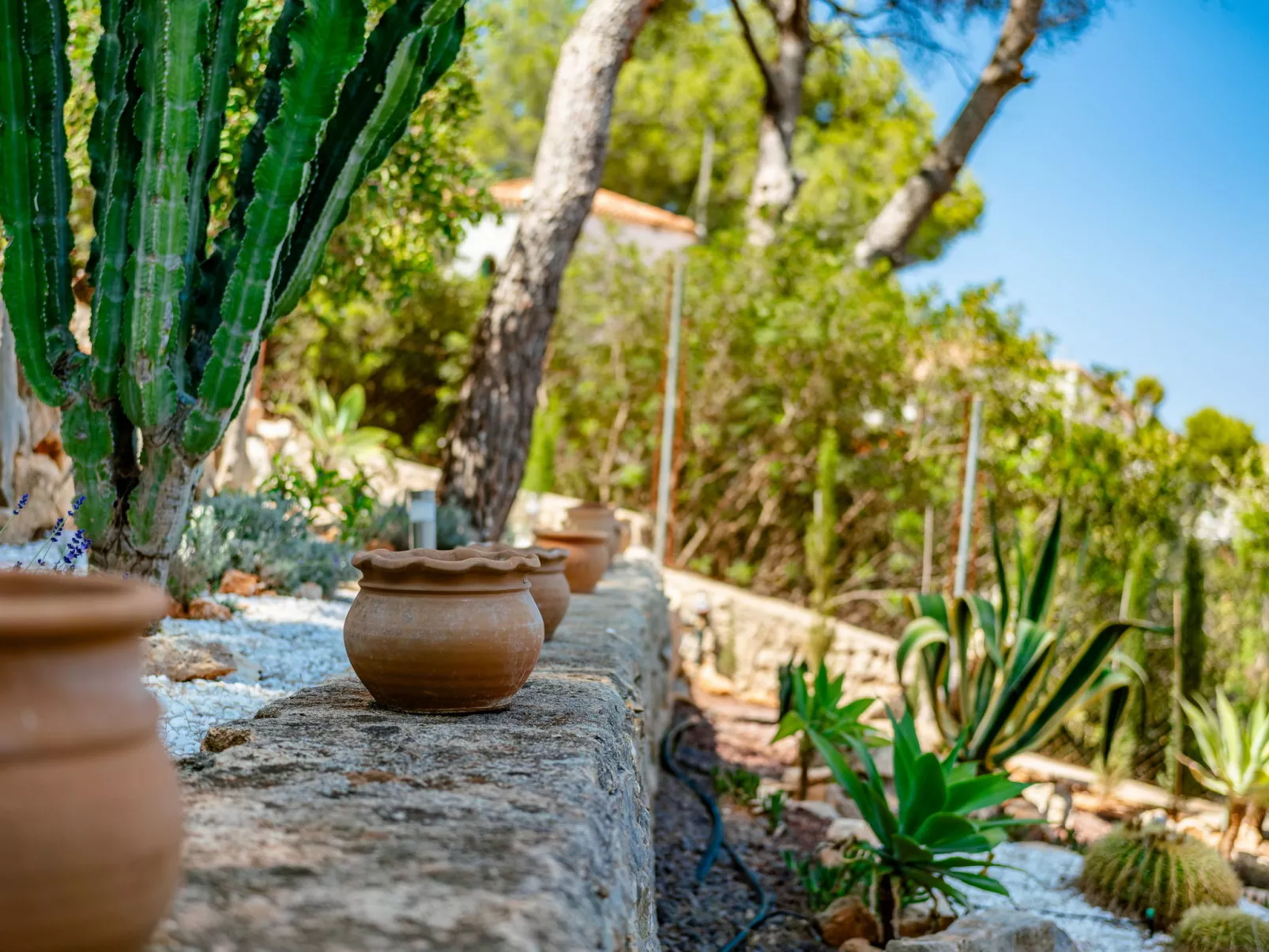 Villa Vista Paraiso-Outside
