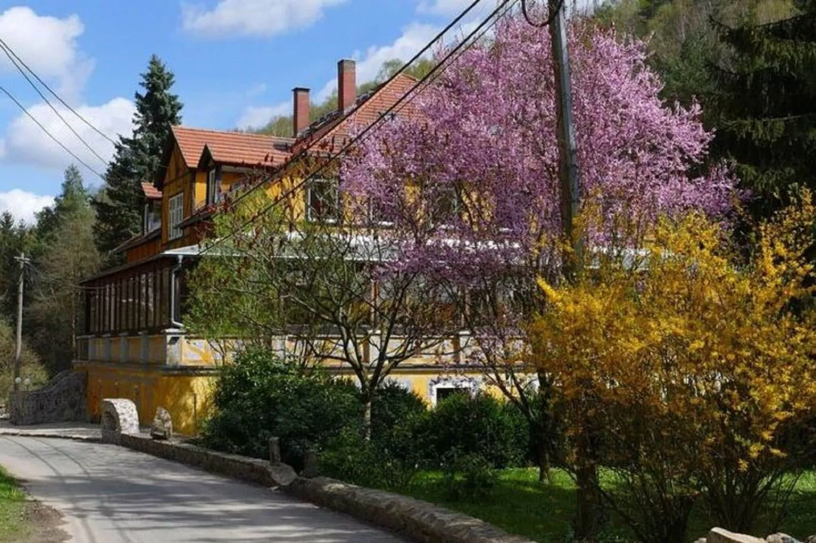 Villa Rotschönberg-Exterior summer