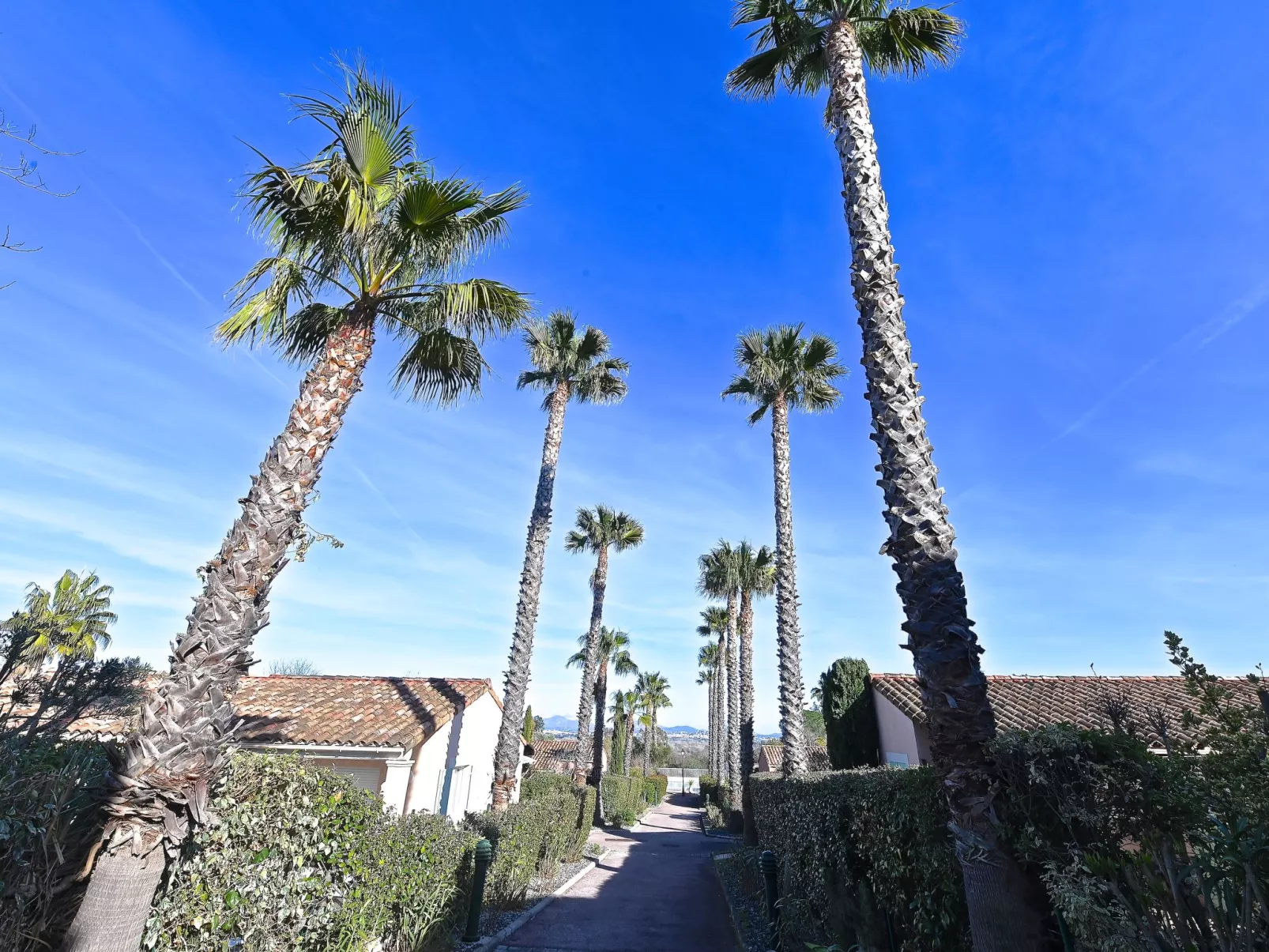 Le Green Village-Dehors