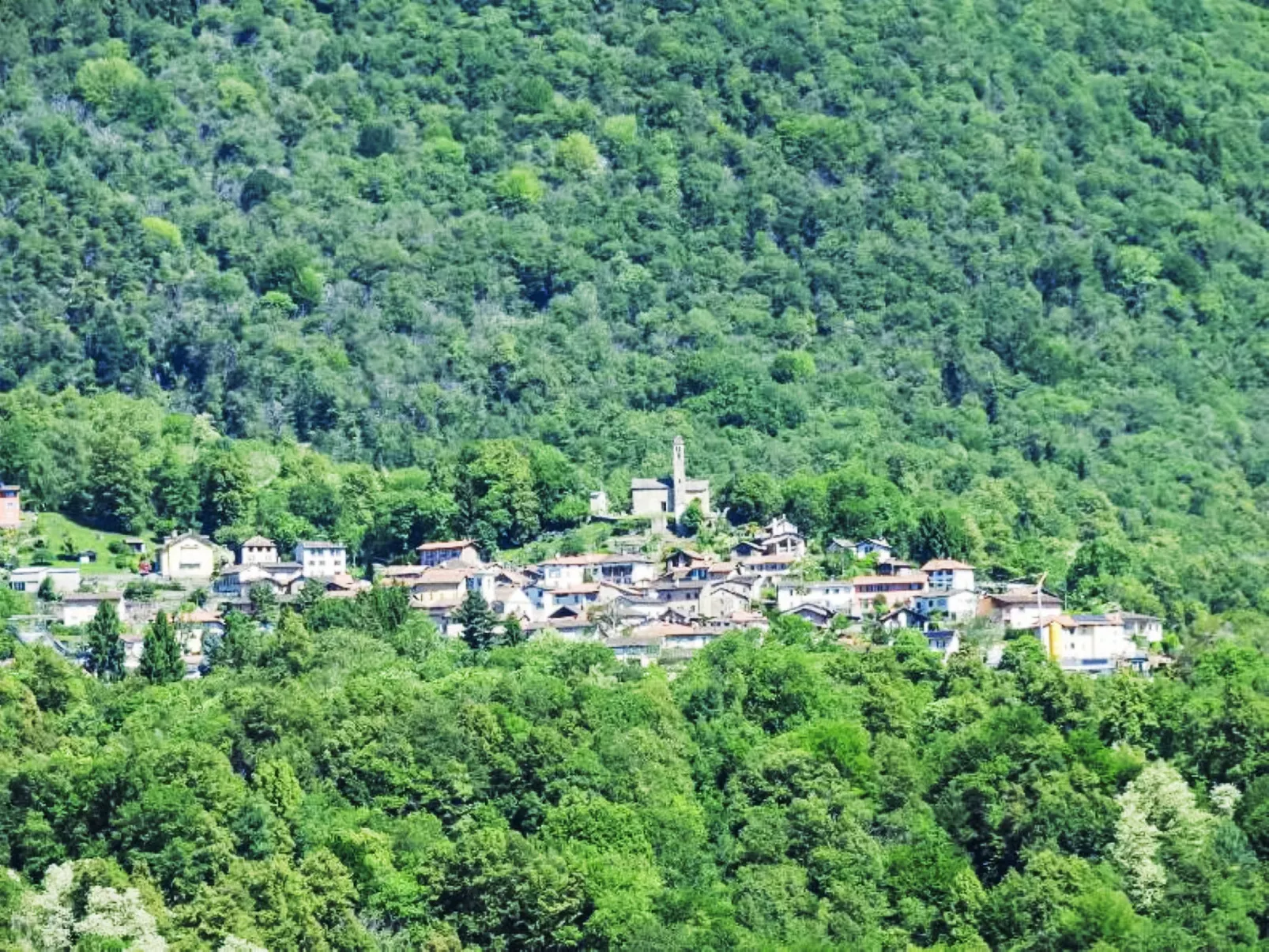 Rustica-Dehors