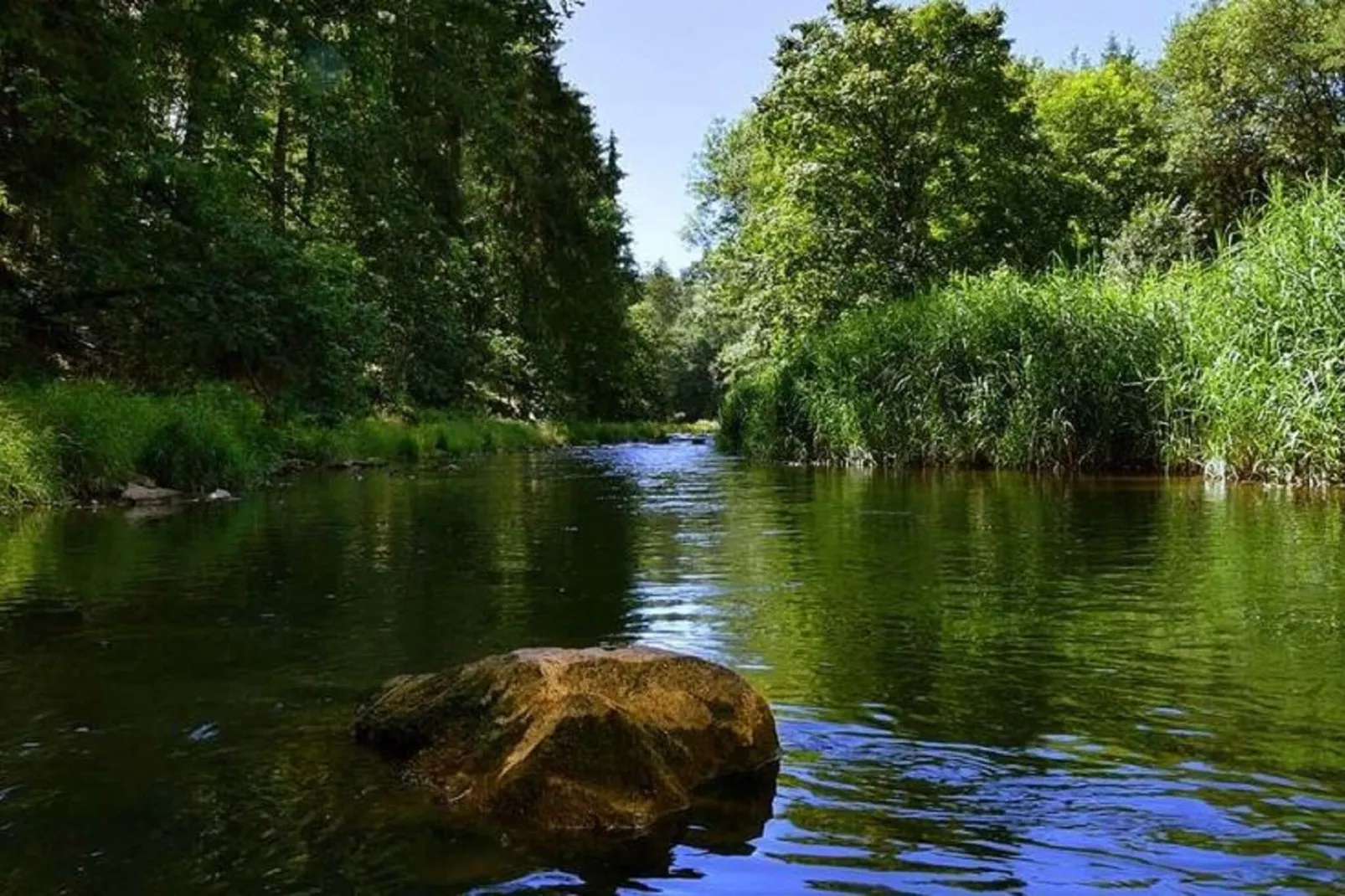 Villa Rotschönberg-Areas summer 20km