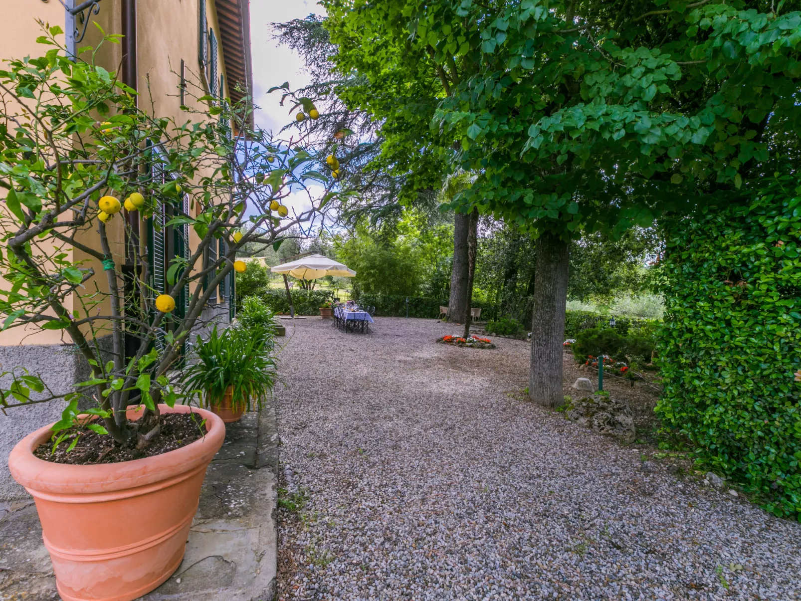 Villa il Giglio-Outside