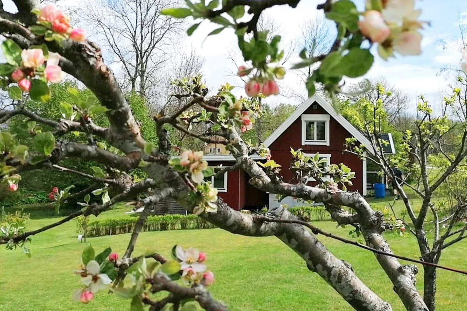 4 person holiday home in Holmsjö-By Traum