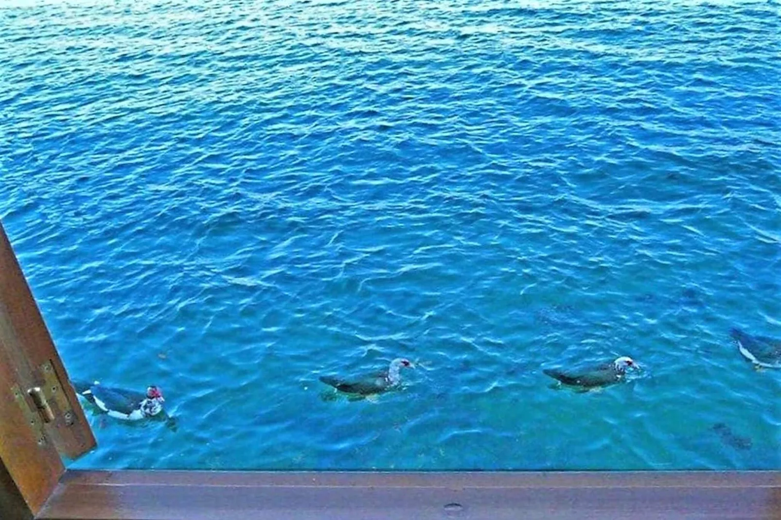 Casa do Sal-Areas summer 20km