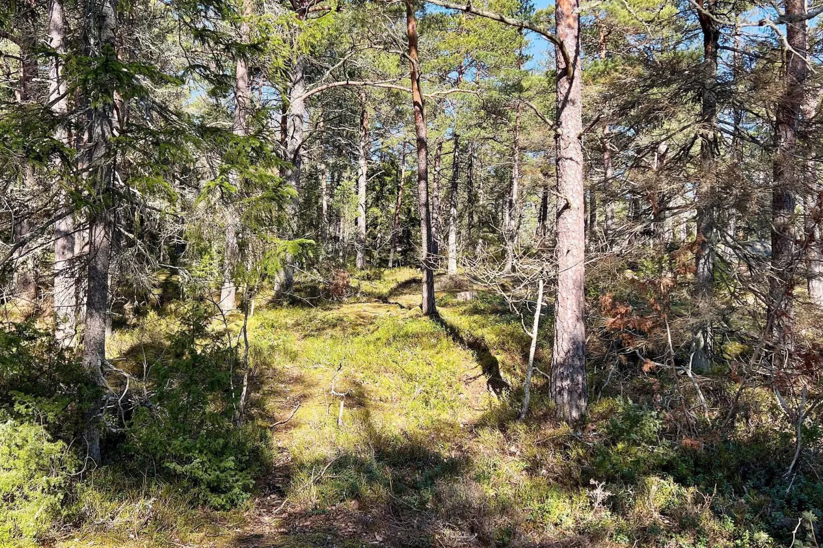 5 Sterne Ferienhaus in Harö-Nicht getaggt