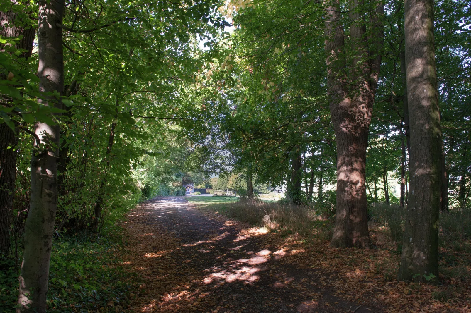 Chateau de Jevoumont-Areas summer 1km