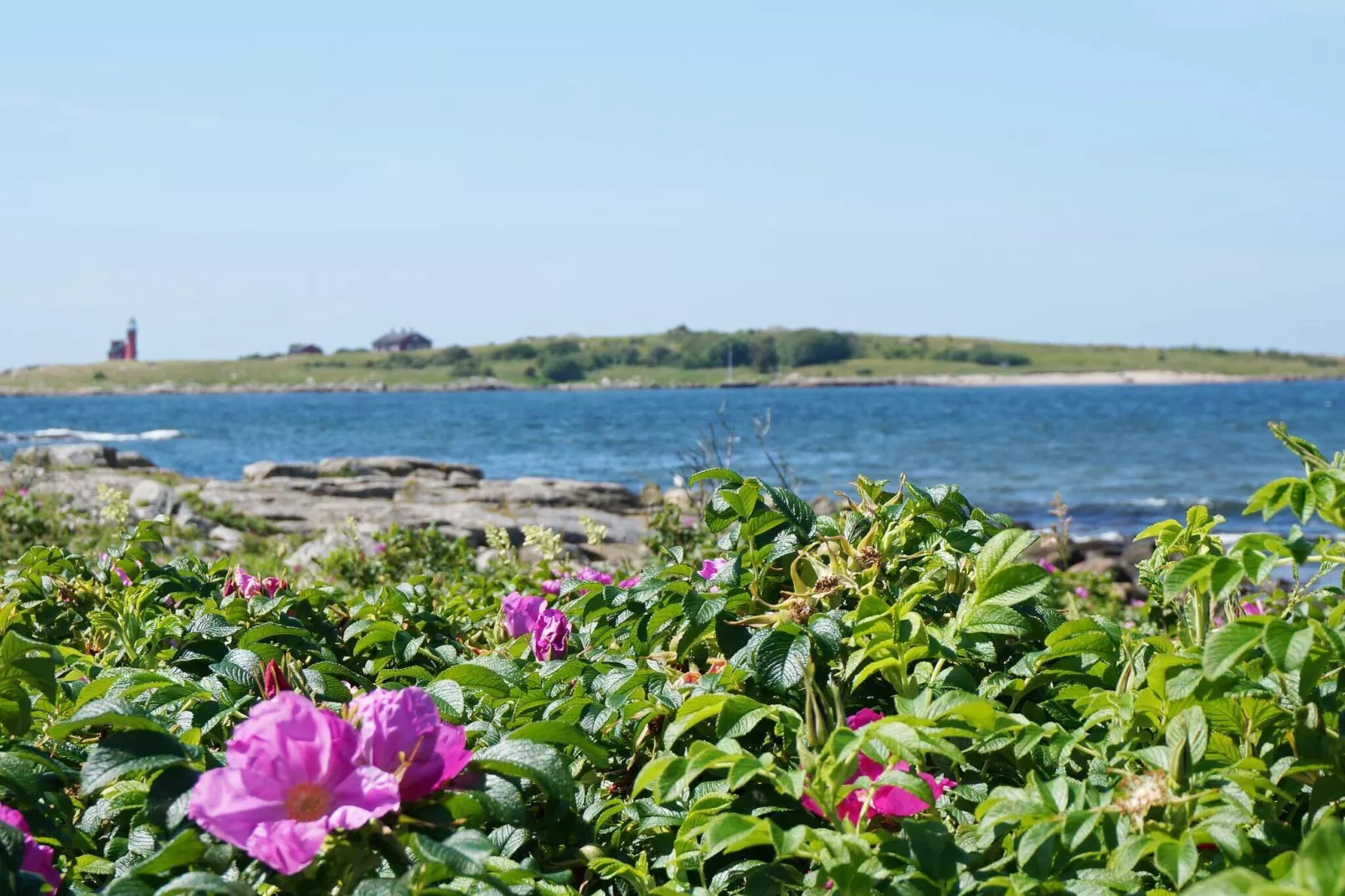 4 star holiday home in Halmstad-Not tagged