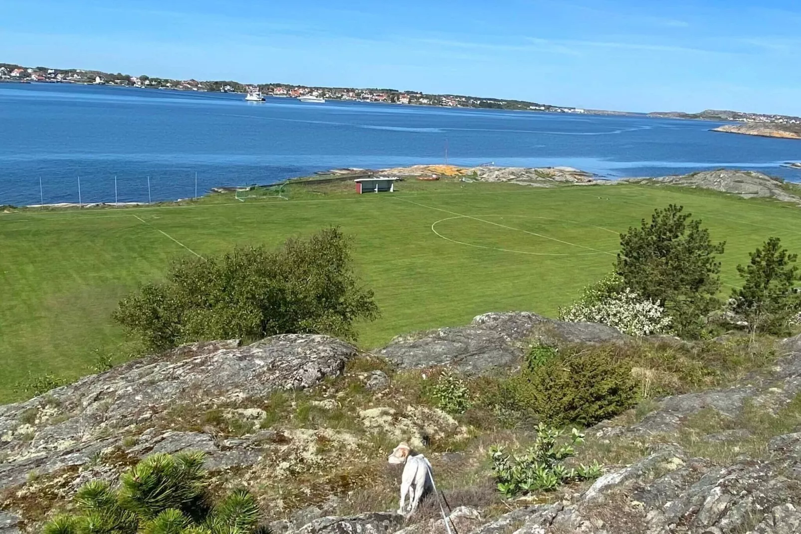 2 person holiday home in Kalvsund-Outdoor