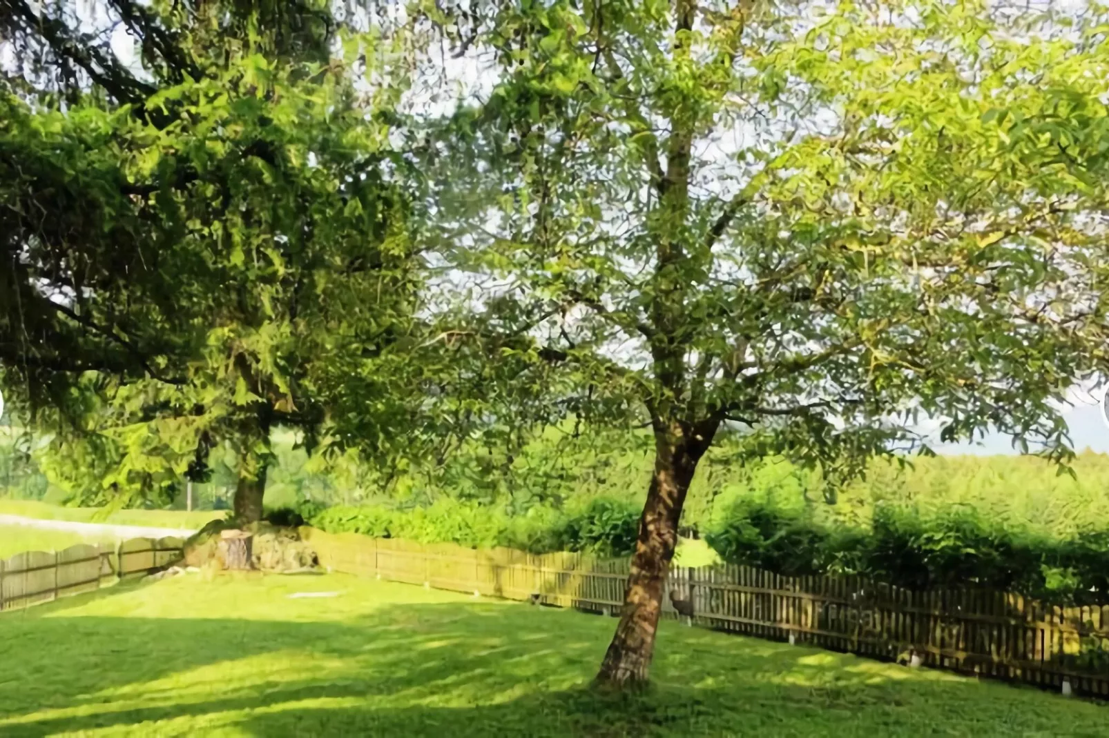 Ferienhaus "Am Malerhügel"-Gardens summer