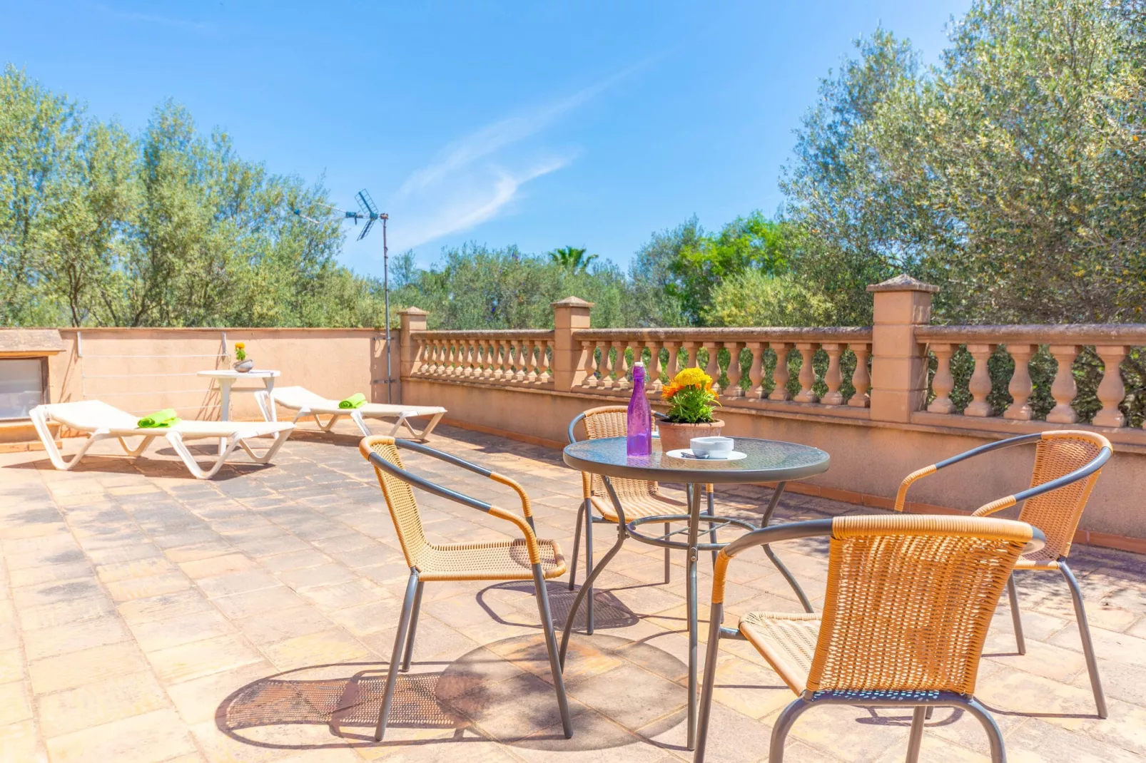 Pleta De Son Monjo-Terrace balcony