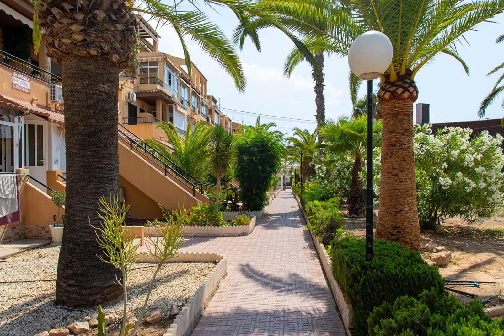 Perseo-Exterior summer