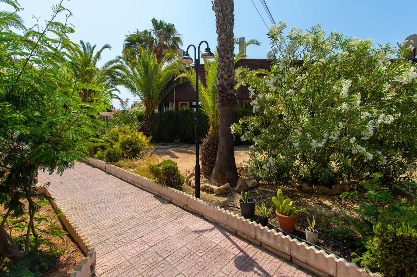 Perseo-Exterior summer