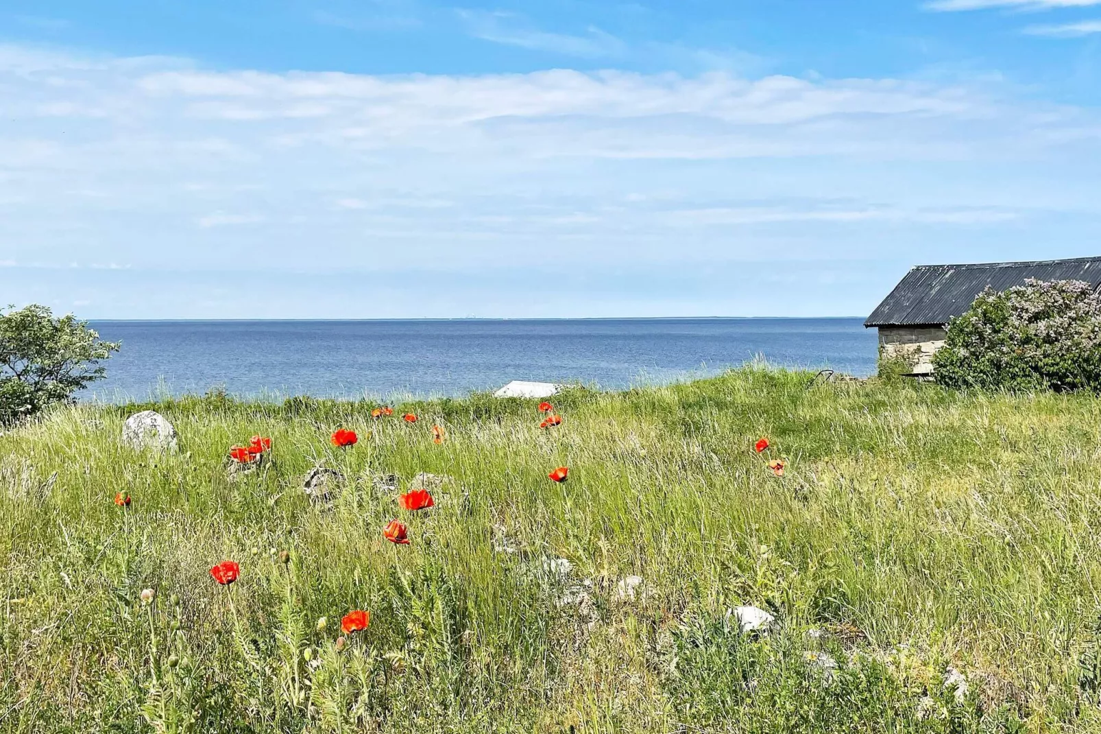 Maison de vacances pour 3 a LÖTTORP-Non tagué