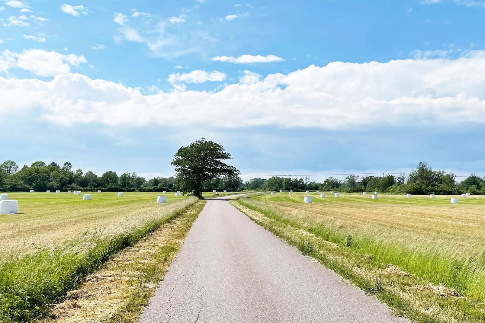 Maison de vacances pour 3 a LÖTTORP-Non tagué