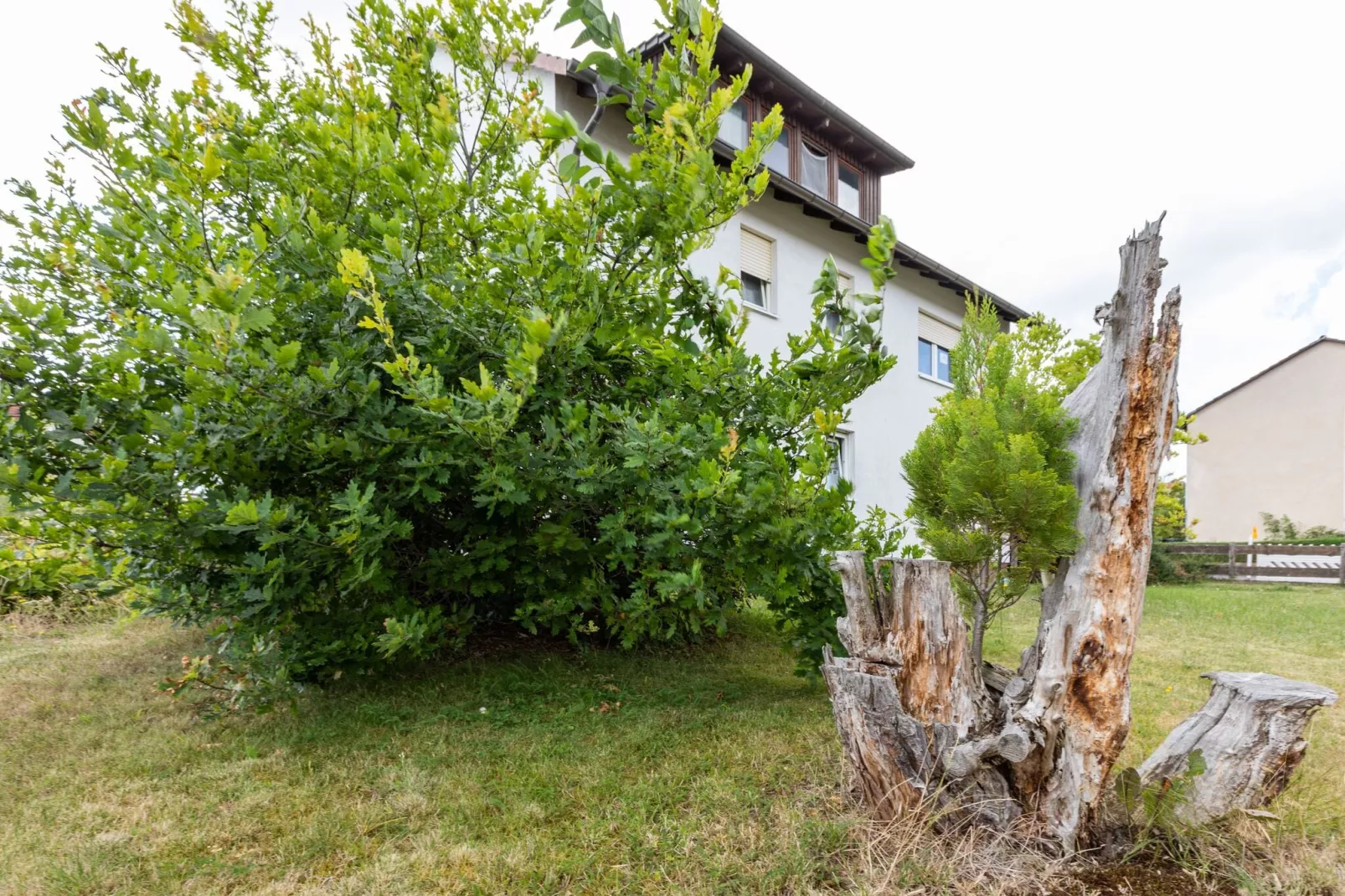 Ferienwohnung Fuldabrück-Gardens summer