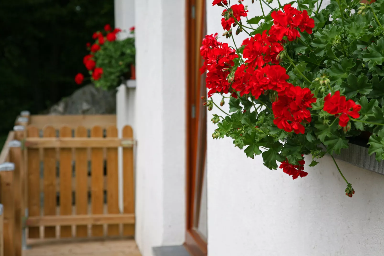 Le 41-Exterior summer