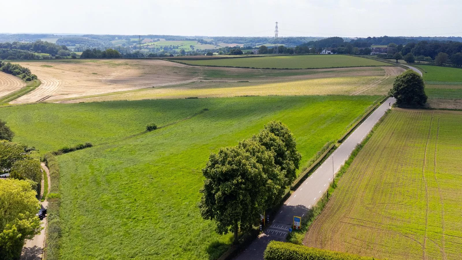 Heimerhöfkes-Areas summer 1km