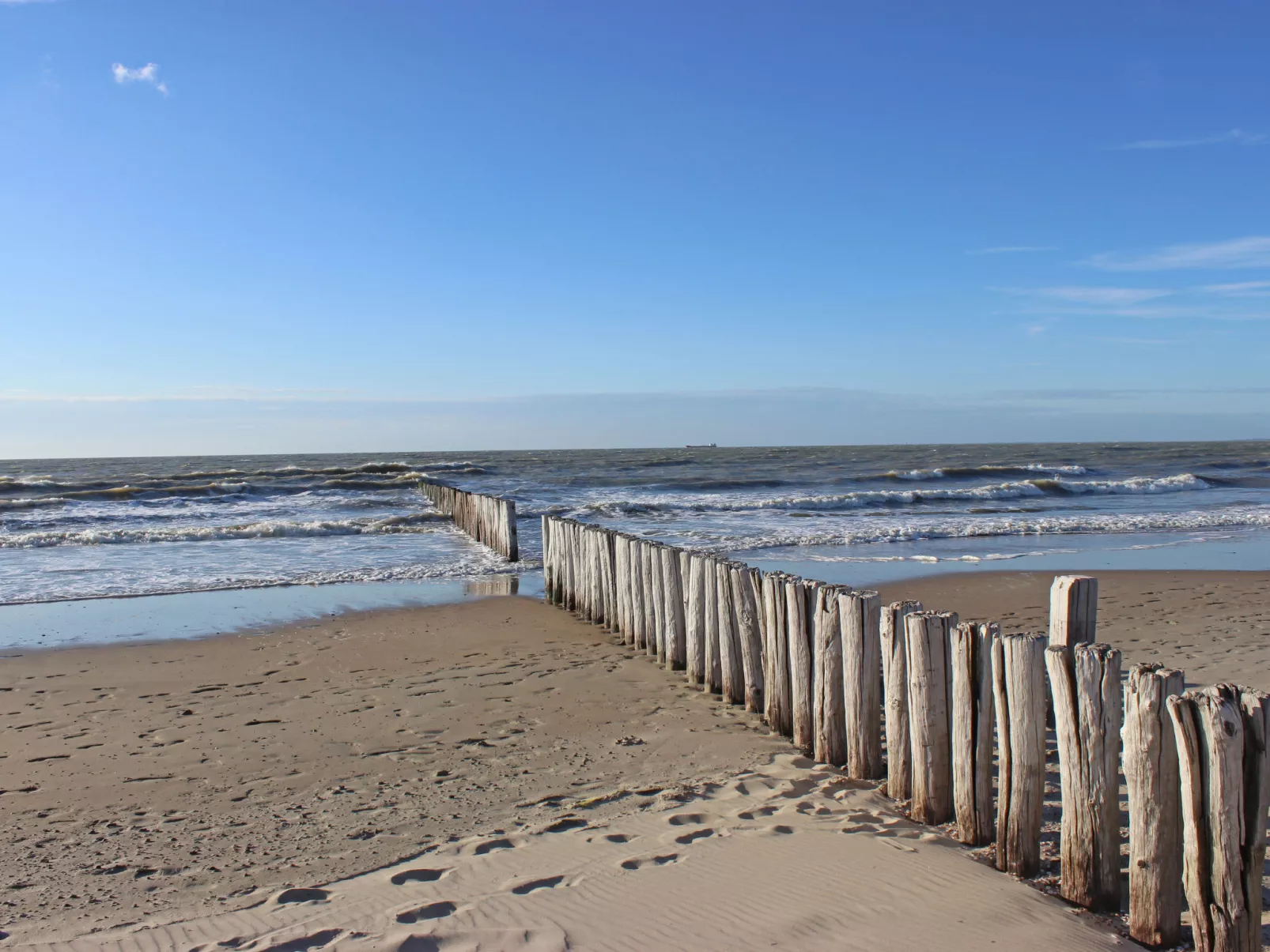Long Beach-Dehors