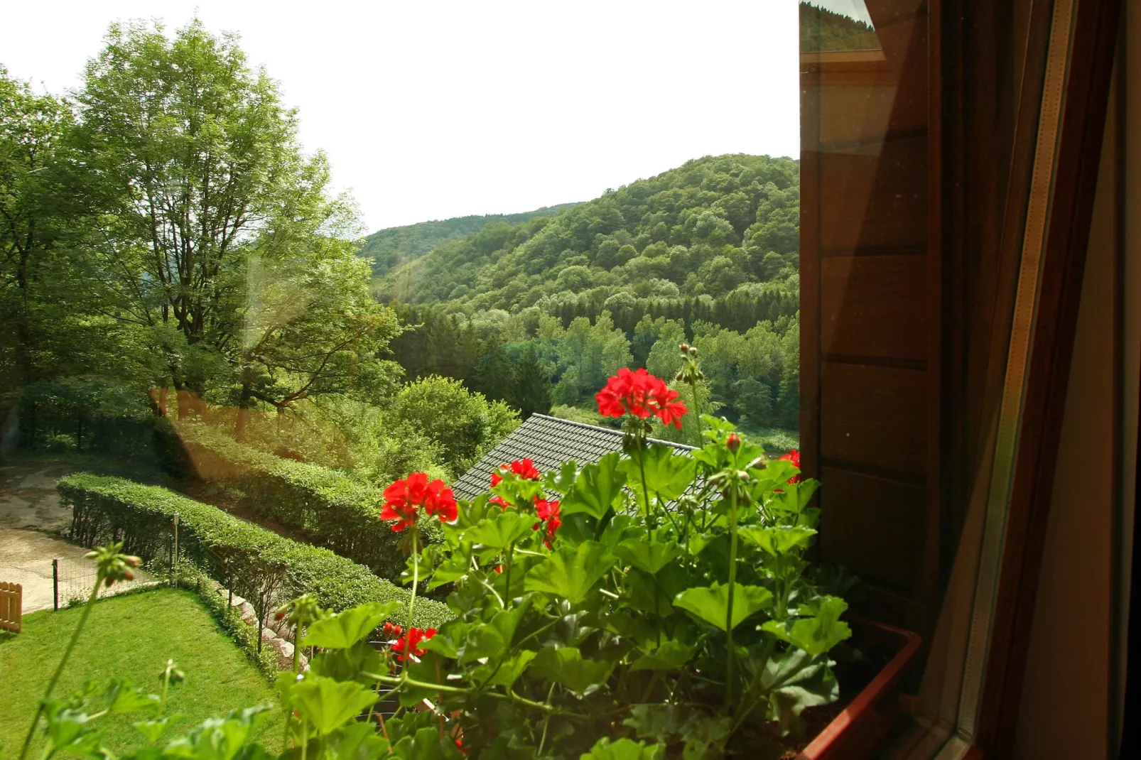 Le 41-View summer