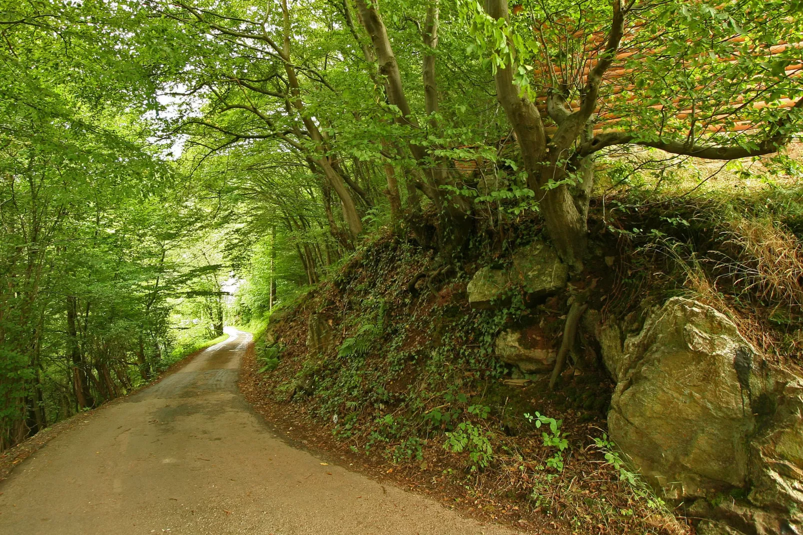 Le 41-Areas summer 1km