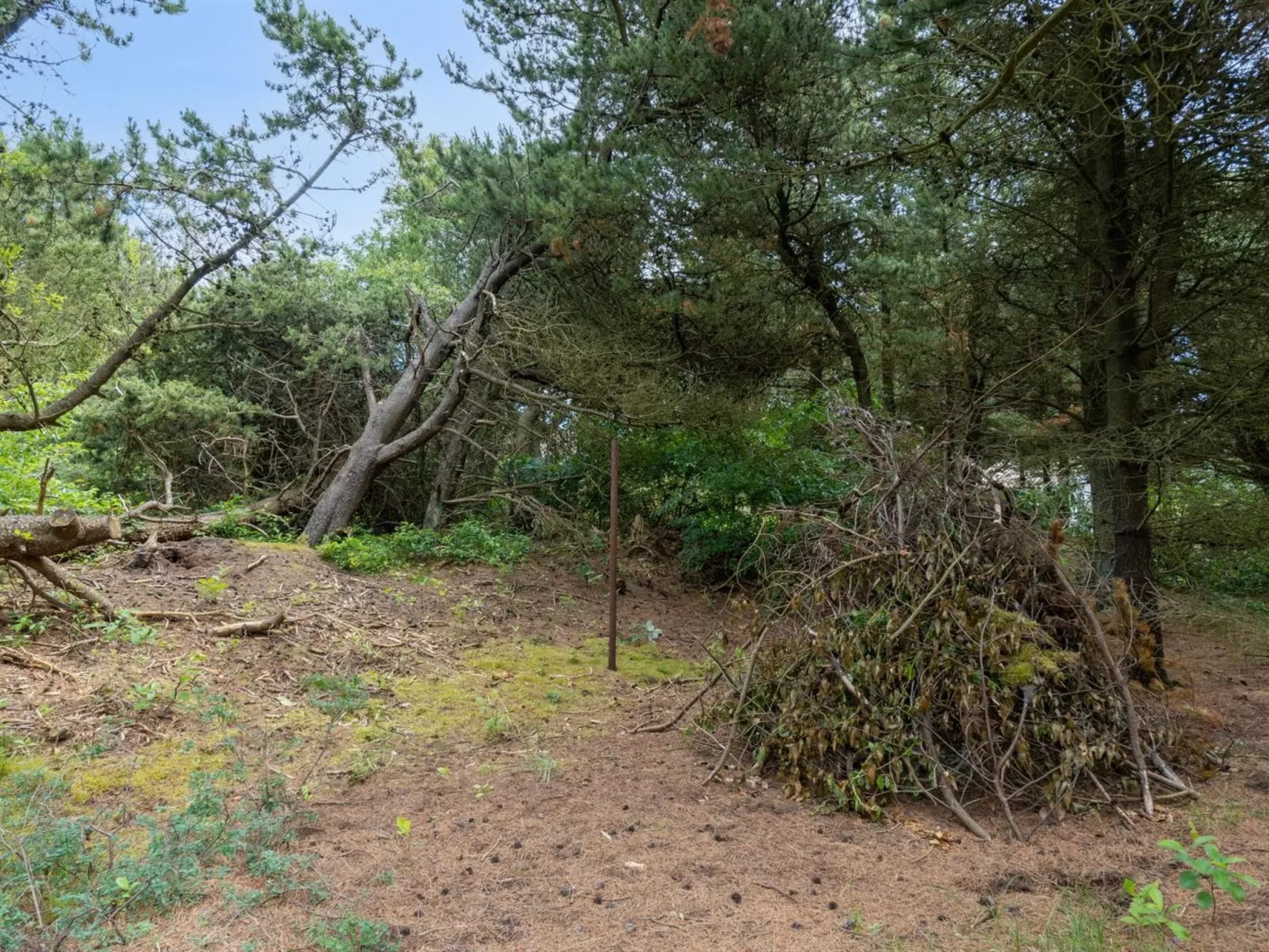 "Magga" - 3.2km from the sea-Outside