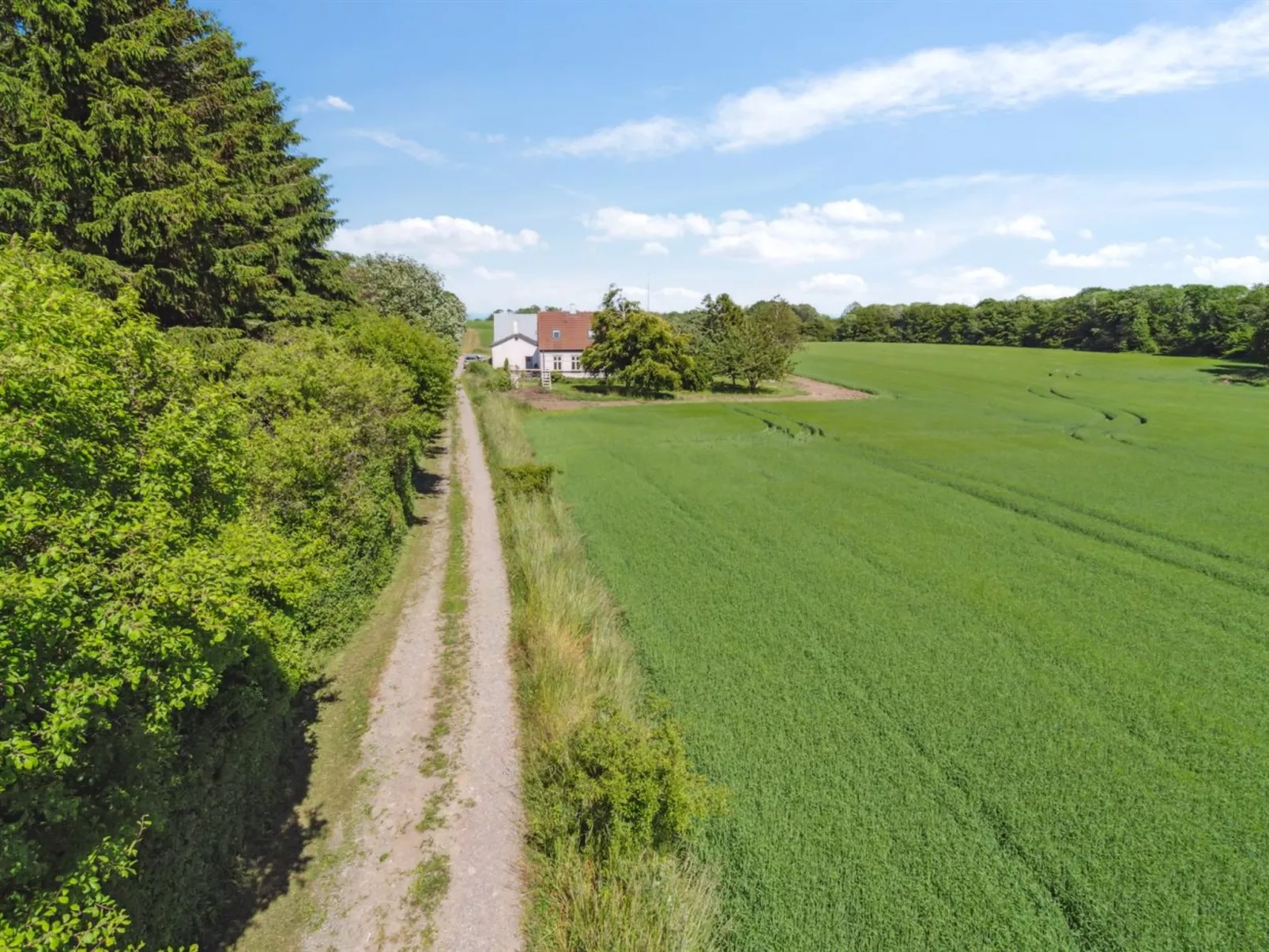 "Antonina" - 800m from the sea-Outside