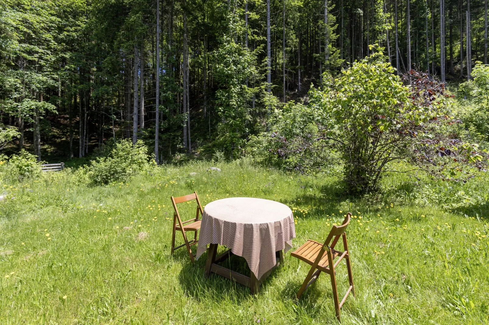	 Ferienhaus Bodental-Gärten Sommer