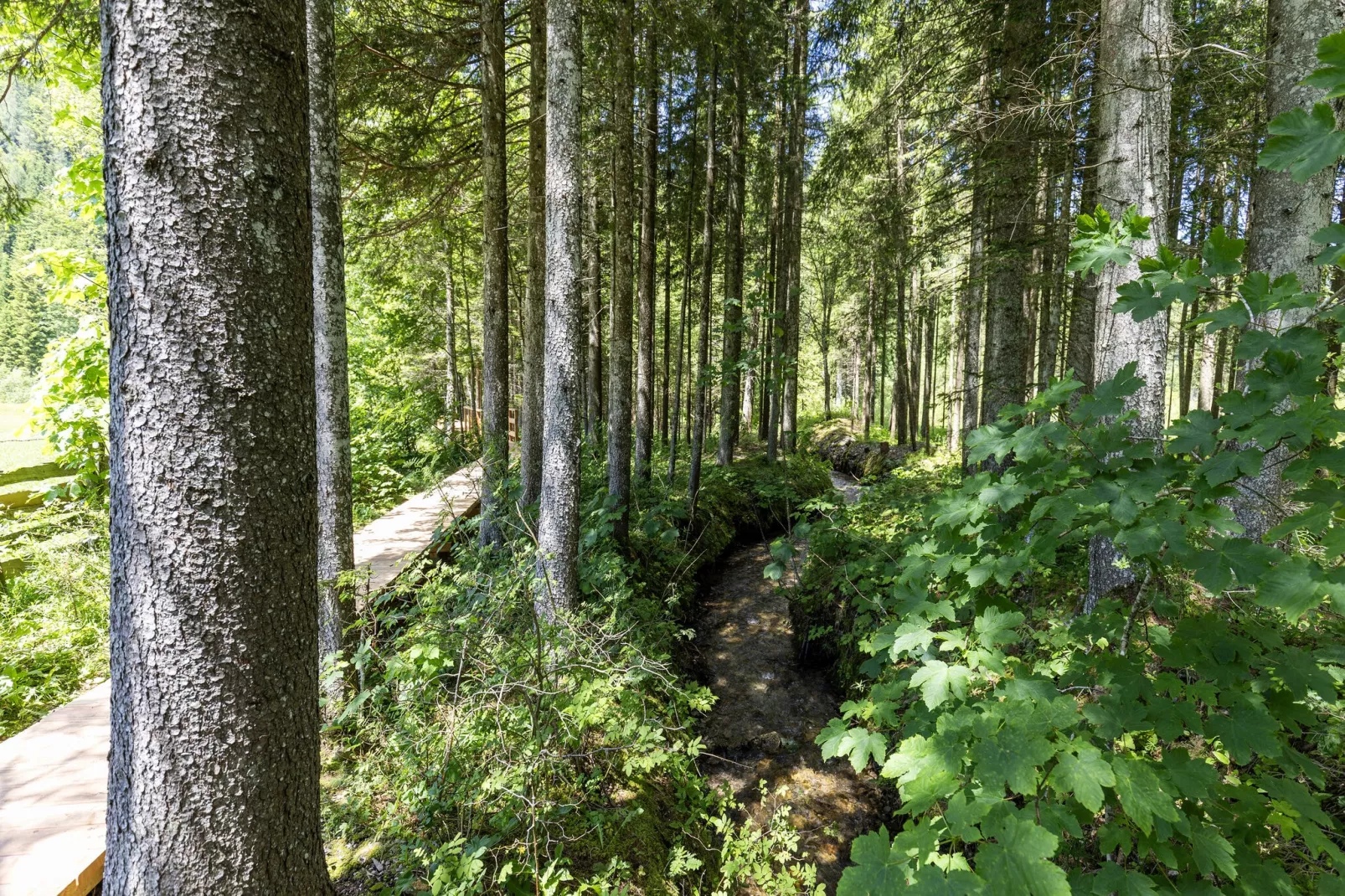 	 Ferienhaus Bodental-Gebiete Sommer 1 km