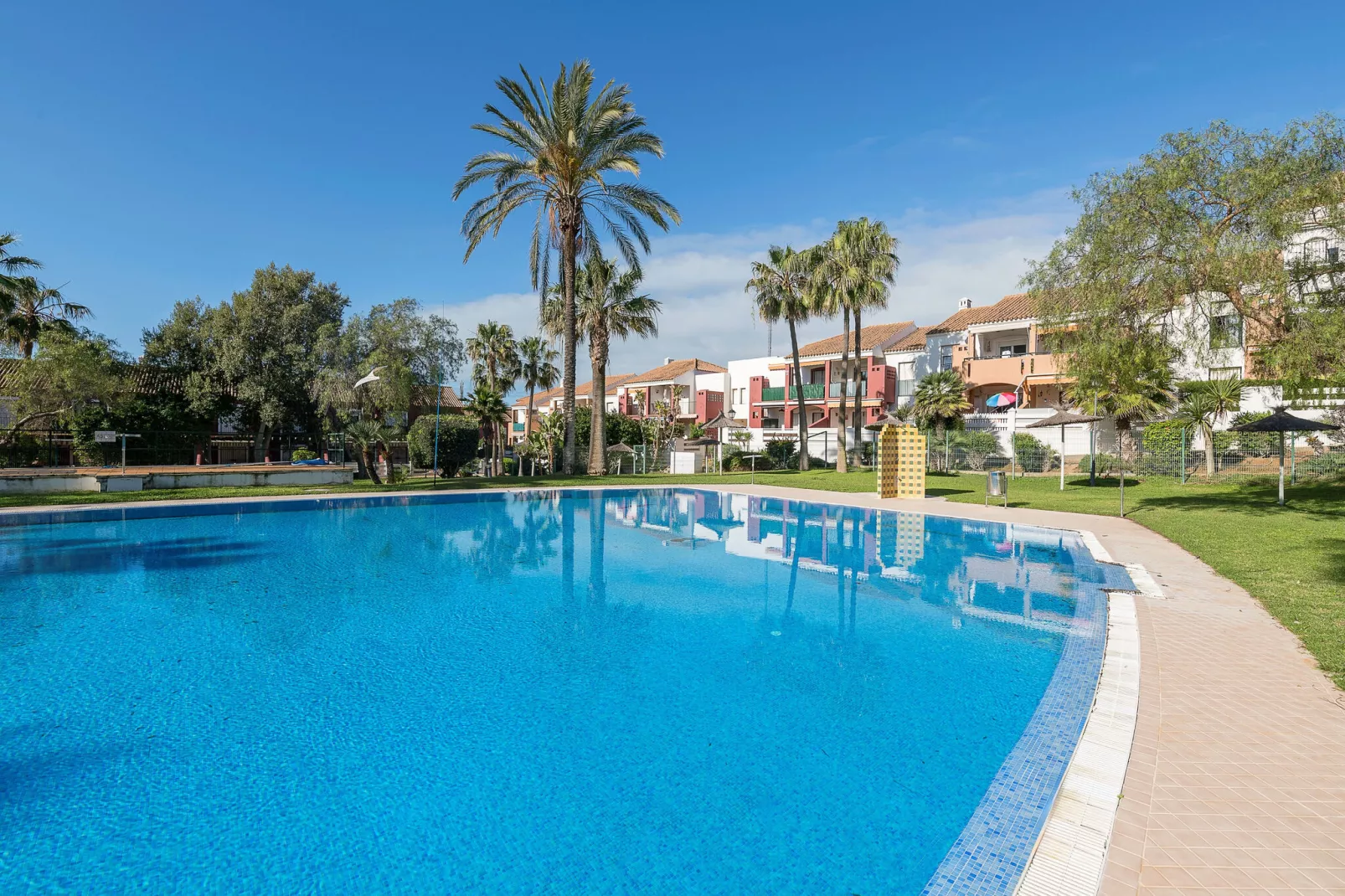 Oasis Playero-Pool