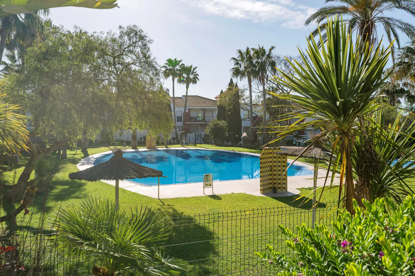 Oasis Playero-Pool