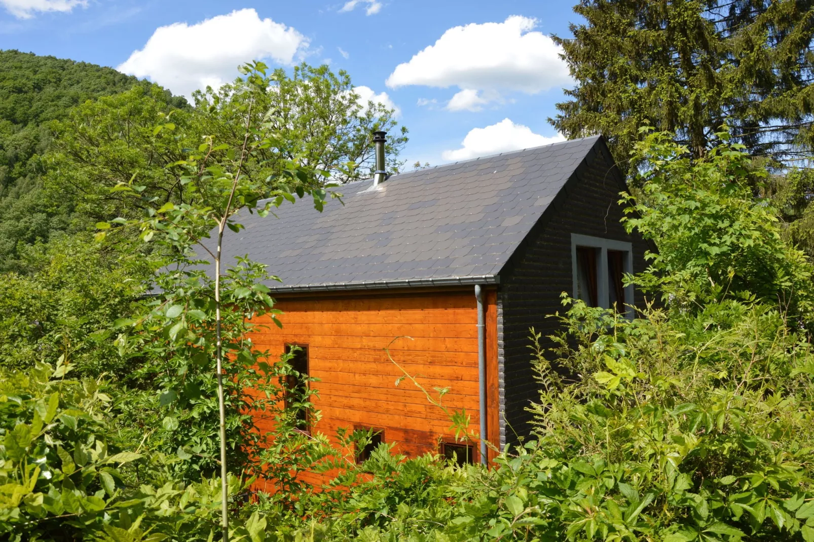 Wood Dream-Exterior summer