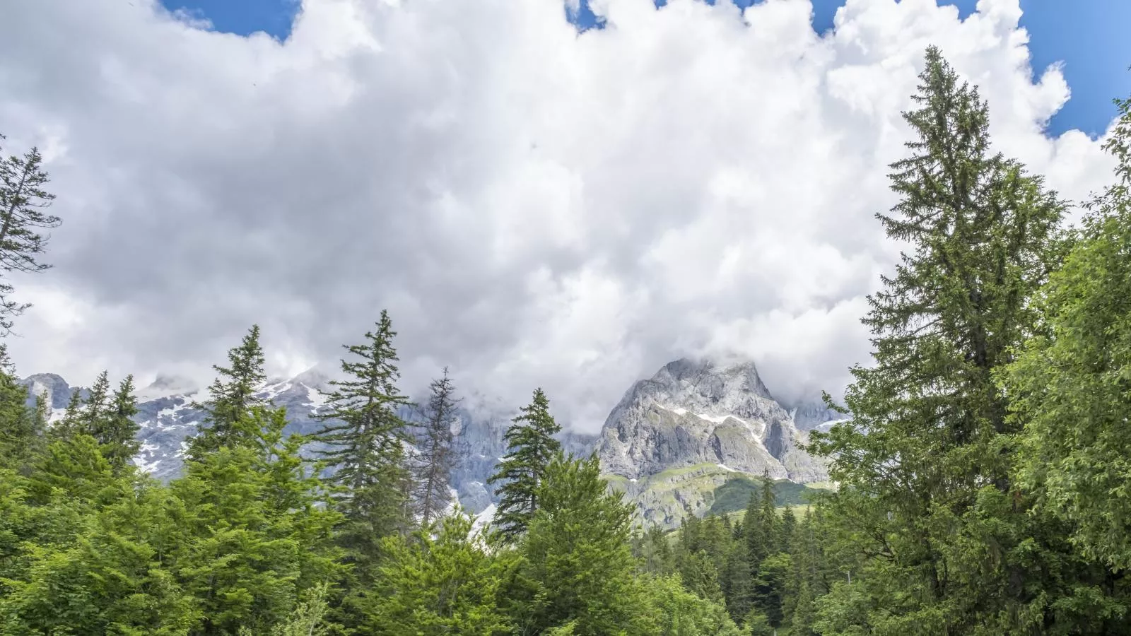 Alpen Villa Danica-Aussicht Sommer